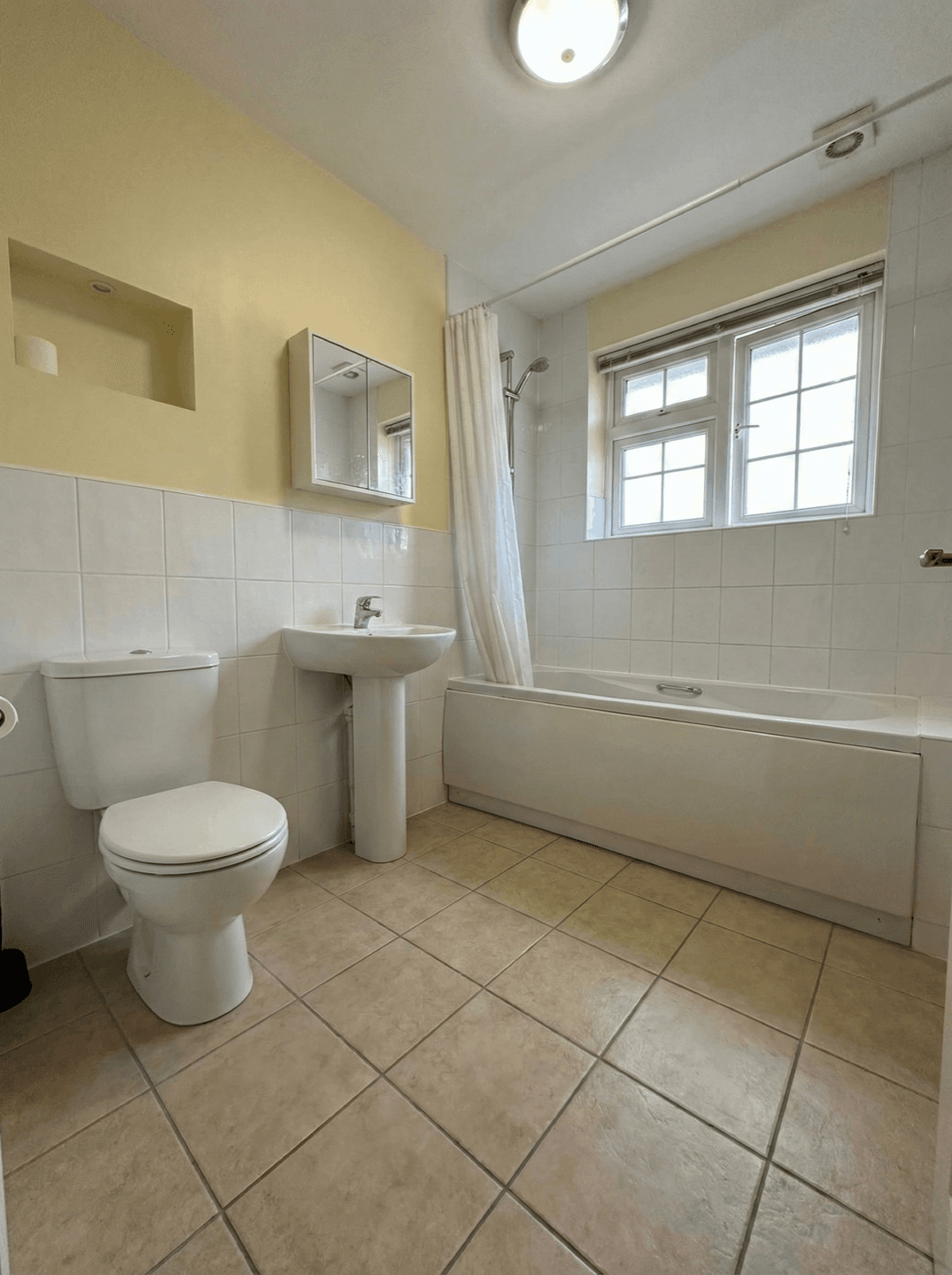 Before image